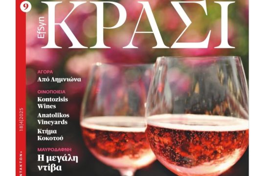 EFSYN KRASI 190424_1